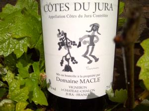 Brighton and Hove-20140512-00366