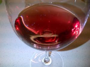 Brighton and Hove-20141219-00704