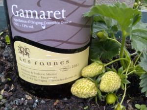 Brighton and Hove-20140519-00375