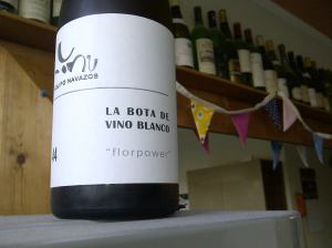 Brighton and Hove-20130906-00075