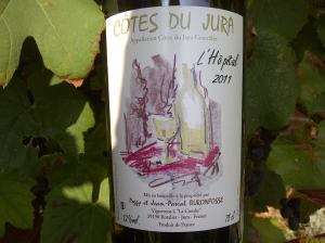 Brighton and Hove-20140921-00576