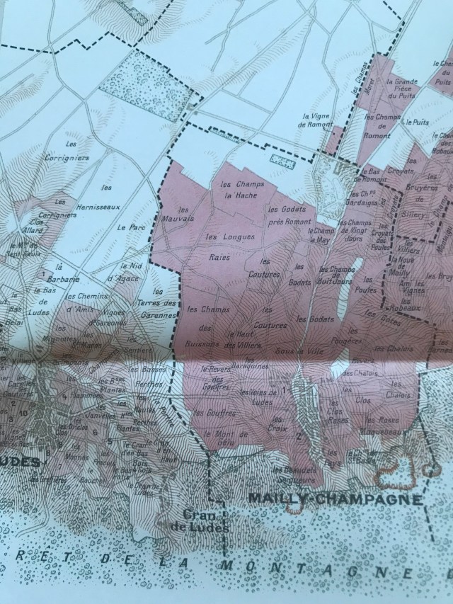 698D597A-2CC5-47FF-8FD5-E7DCBD6E8DBD