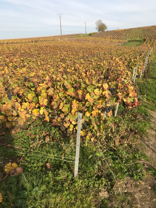 B2789A91-CA62-45FF-8D66-43983536DE16