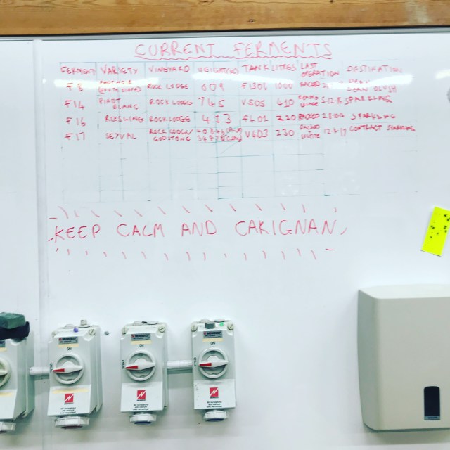 3C243AE9-3995-41A8-BA22-9D95A8B89389