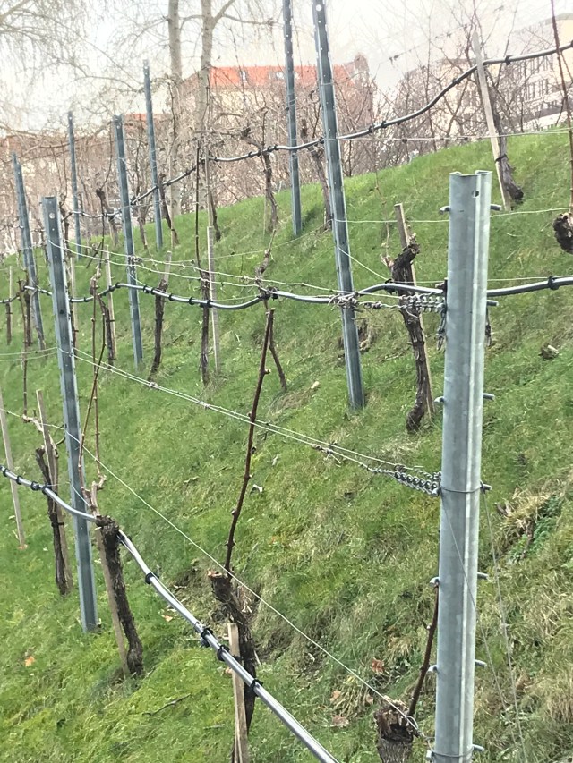 9B5A9A2A-34AA-4E8E-AC5F-1114F574AF2A