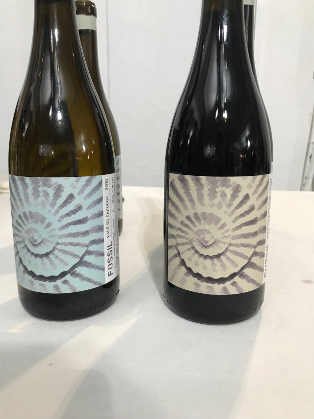 D2436A49-8ADD-4091-8965-D6B6E904ADA0