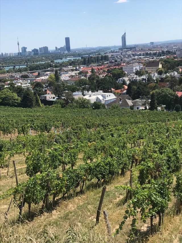 02CAAF51-4E0E-44ED-8D00-B3A6A114C0C5