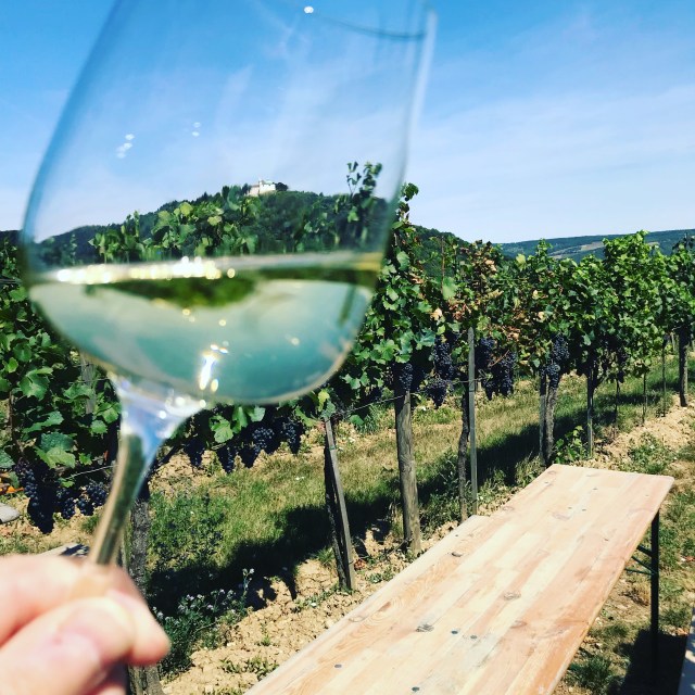 BEFF9244-2122-452A-9B3E-5533AC874845