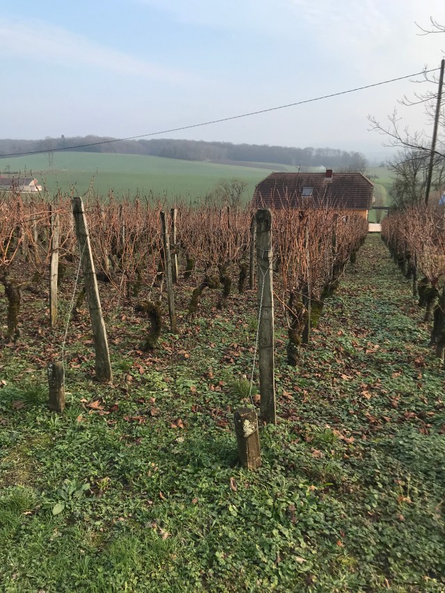 0643CACE-CE6E-4618-9CC5-CC6F700DC102