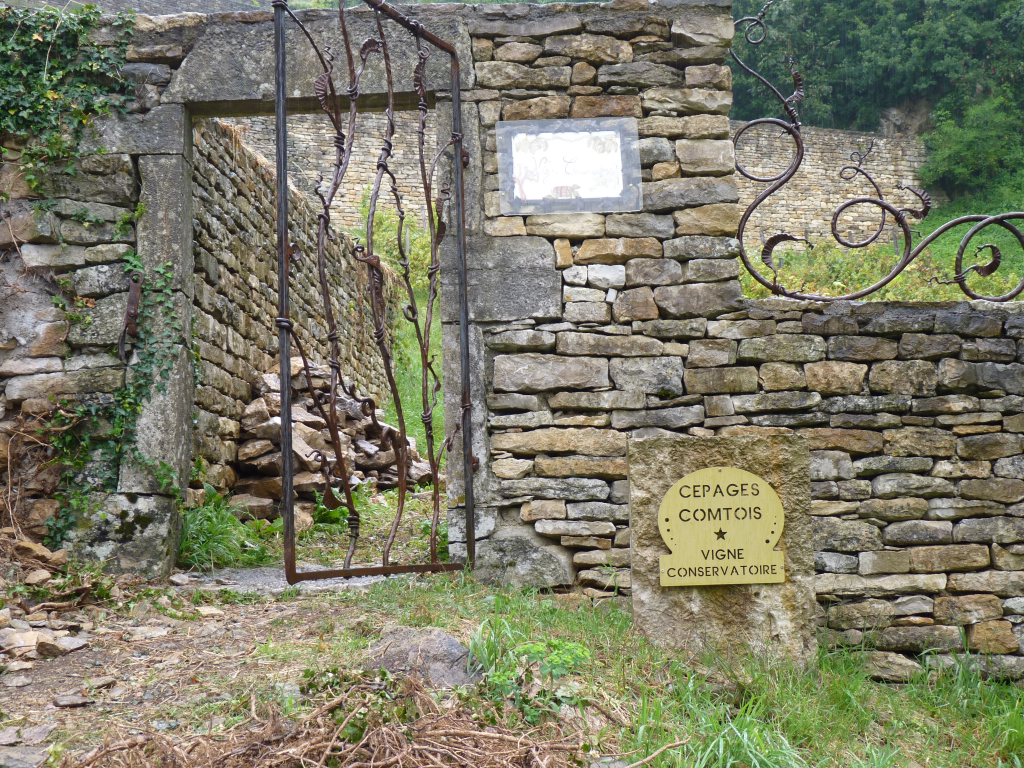 8A7F3005-216A-454A-B3BF-8F39B438A03D