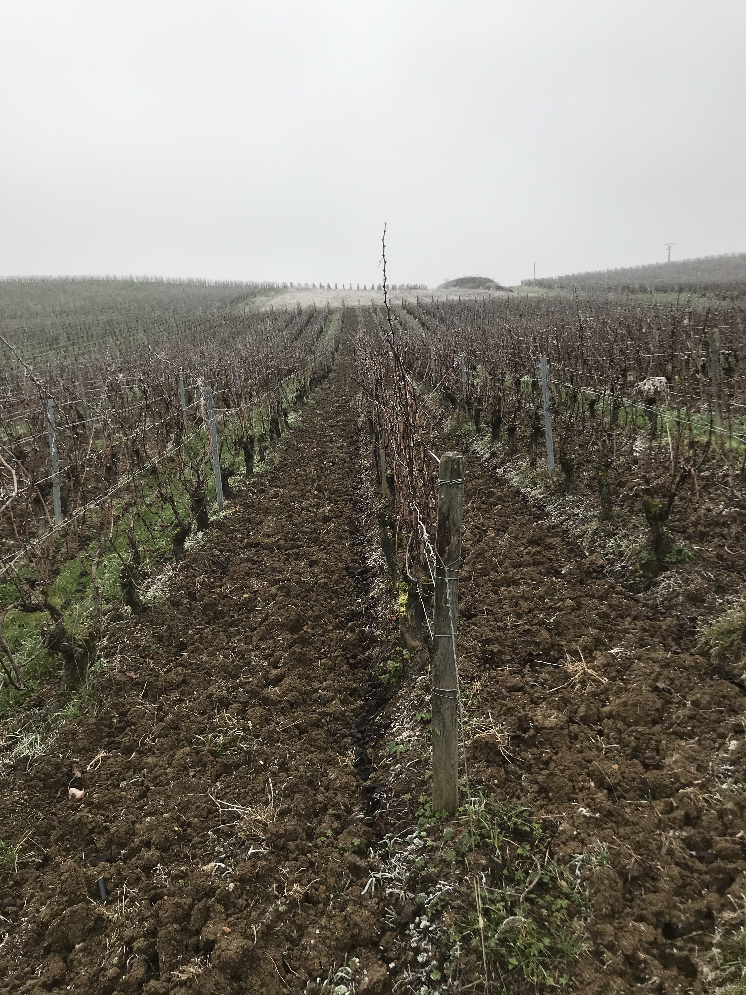 9FF4E893-9F65-43E5-ABEA-C21FE4520937