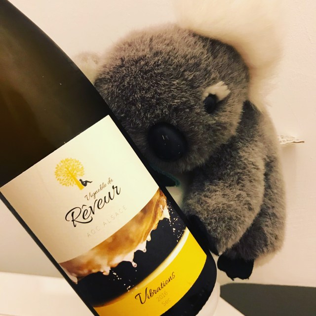 1dc8fb8a-8b01-4e14-ba99-0d3263f503c0